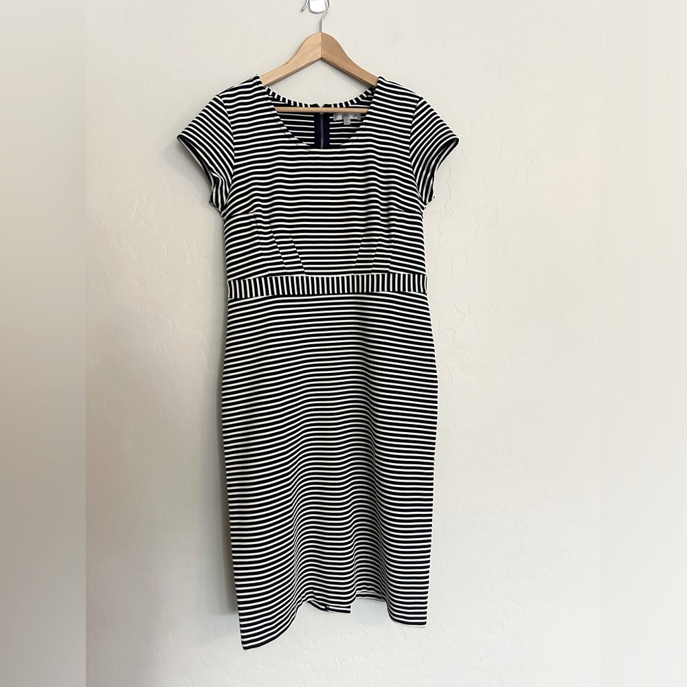 Downeast Women’s Fitted Dress Size L Large Textured Stripe Knee / Midi Length